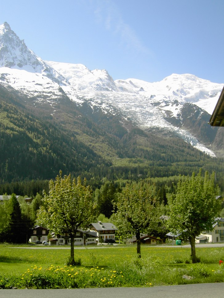 på vårkanten! finns det något vackrare än denn. Foto: denise.