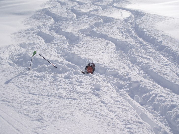 Bullen är kär. Foto: David Hammarberg. Åkare: Daniel Bullarbo.