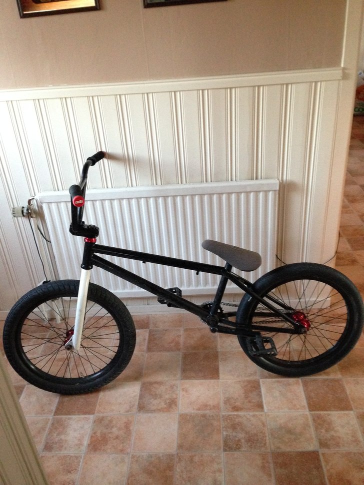 Hojen min :). Foto: Jag. Åkare: Ingen.