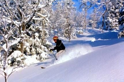 Danne the powder puffer. Foto: Pär Lindholm. Åkare: Daniel Widell.