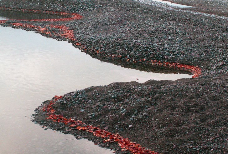 Foto: Agneta emmoth.