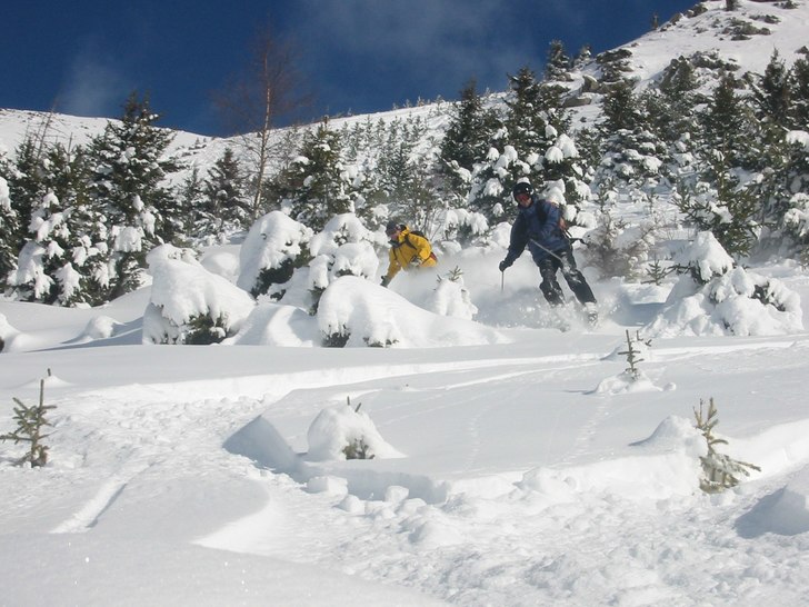 Foto: Staffan Syk. Åkare: Peter och Claes.