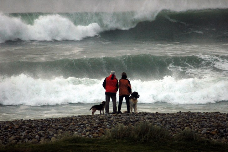 Foto: Johan Berglund.