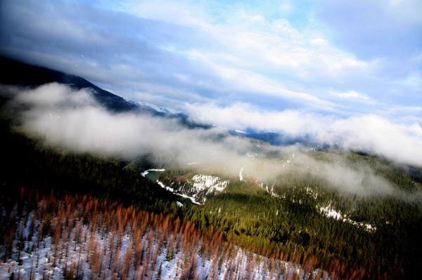 Foto: morten pedersen.