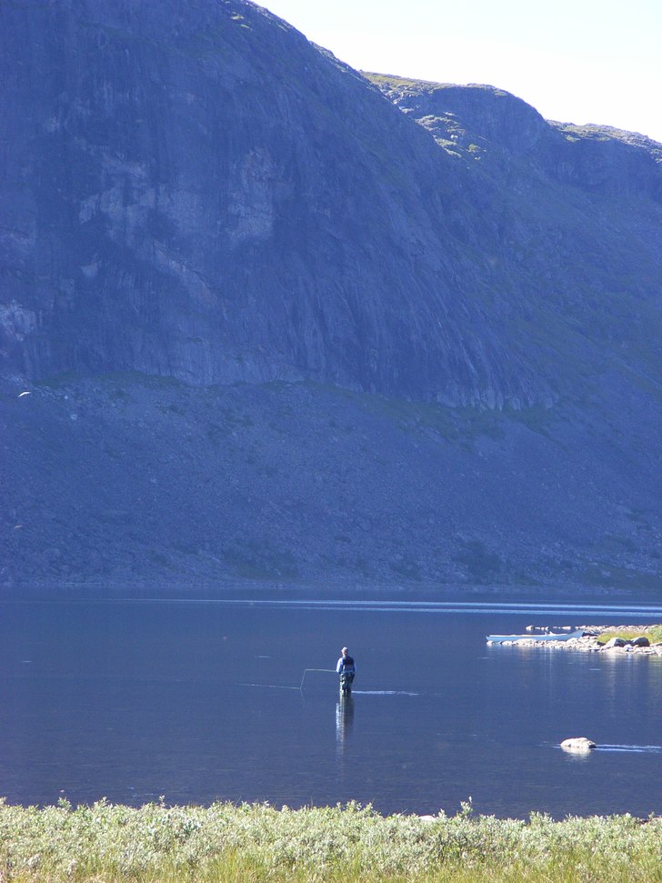 Flugfiske i skuvggan av Kebne.... Foto: Pärra C. Åkare: Björn.