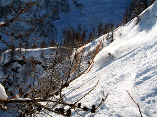 Skogen i La Grave.. Foto: Rich. Åkare: David Kvart.
