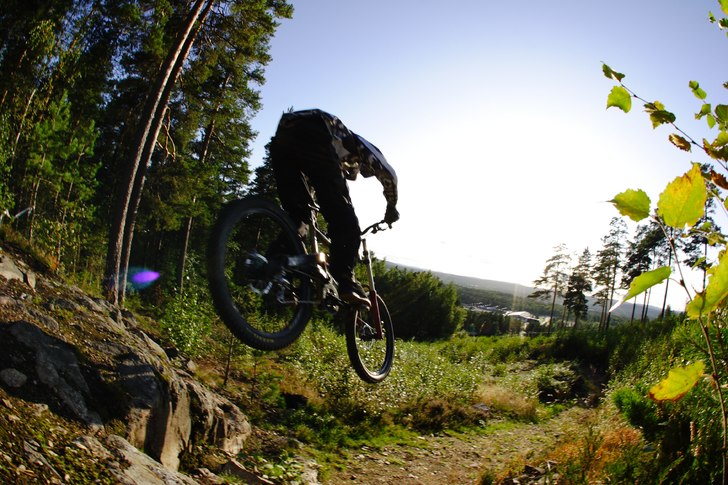 Foto: Mattias Lindqvist.