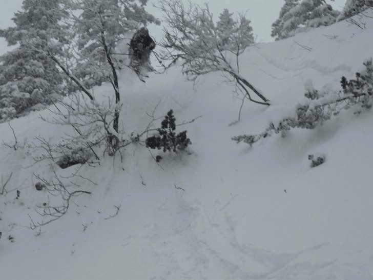 Foto: Dawid Alex. Åkare: Herz Thomas.