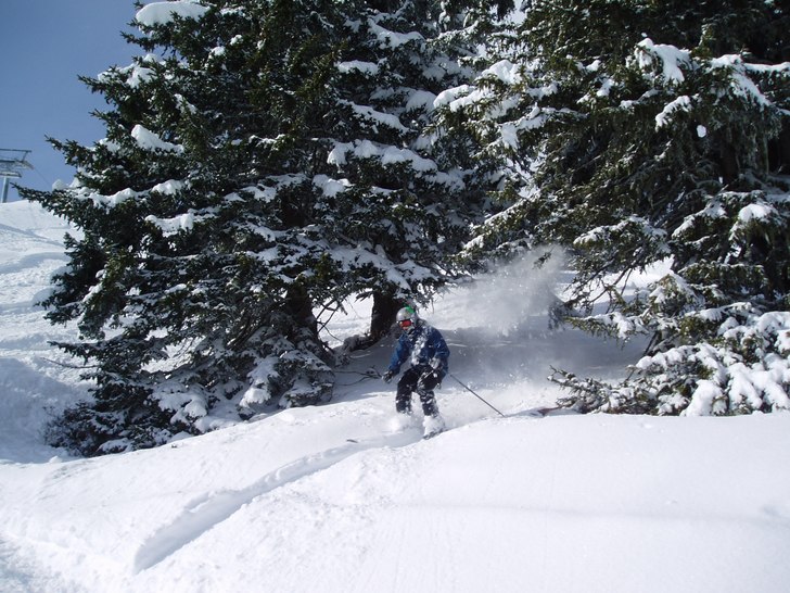 Tar ett åk genom granarna.. Foto: Patrik Dahlgren. Åkare: Axel arvidsson.