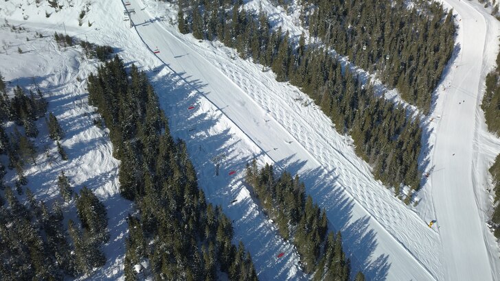 Drönarbild med skogen till vänster. Foto: skiBranäs.