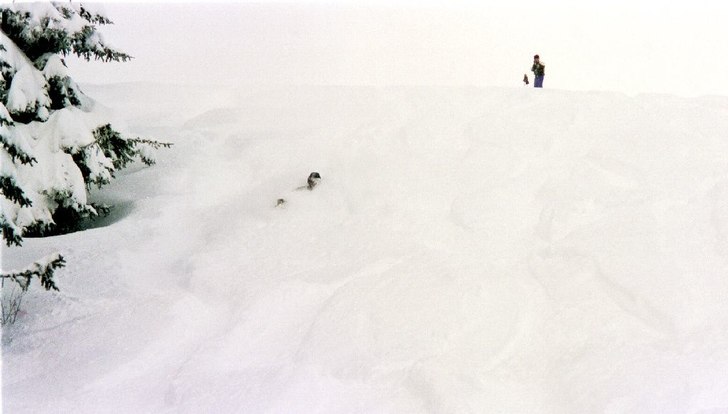 Hand & Huvud syns...... Foto: Tomas Anders. Åkare: Per-Magnus Olofsson.