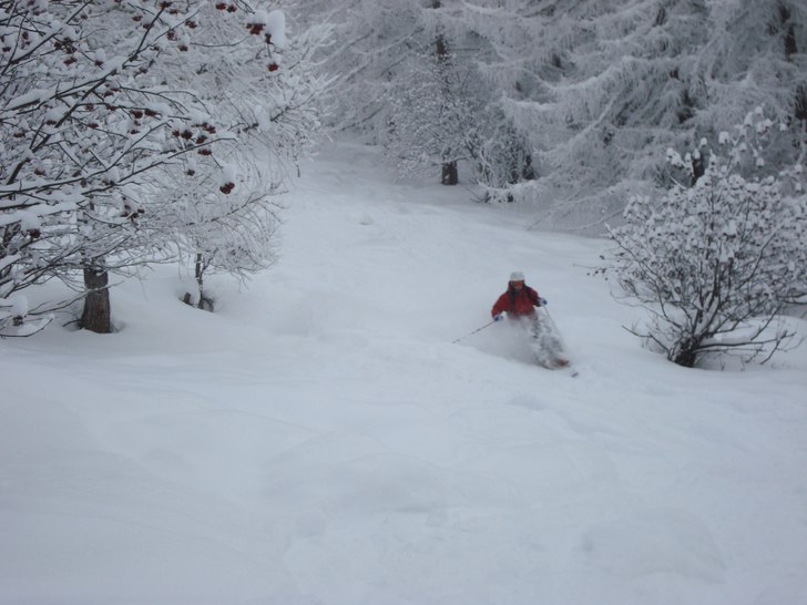 drömskogen mot vallorcine. Foto: Albert J. Åkare: Jag.