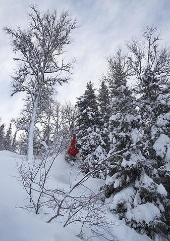 Foto: Ola Granli. Åkare: Lars Norin.