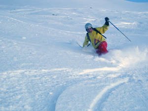 På tur med Felix o Felix. Foto: Felix Oppenheim. Åkare: Magnus Brandt.
