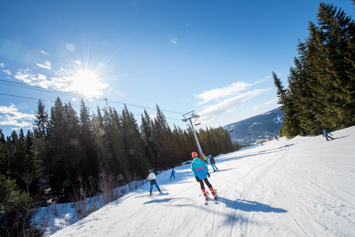 God palmehelg!????????
Påsken står for tur, sola.