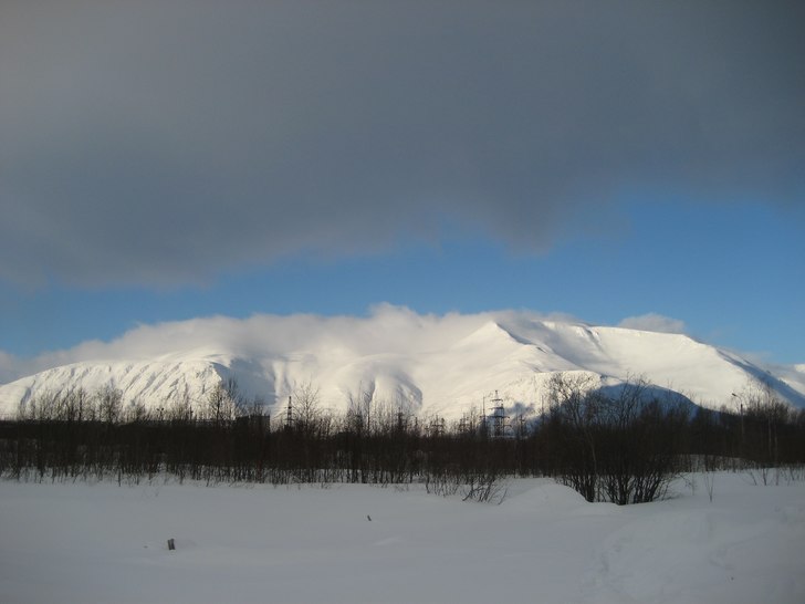 Foto: Alex karlsson.