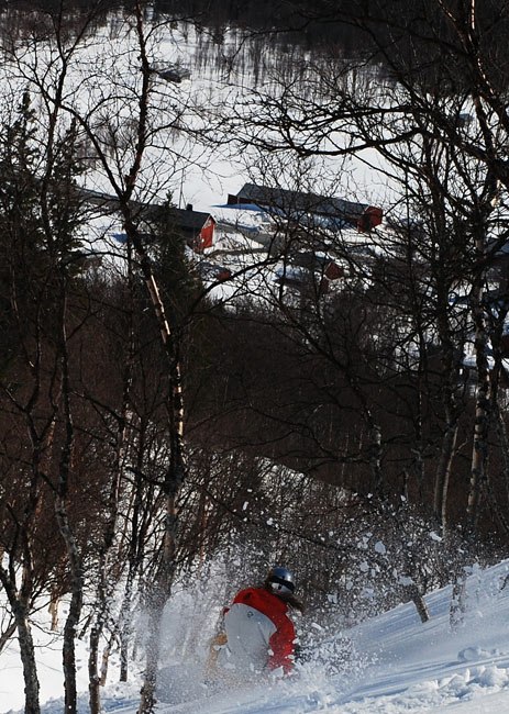 Sitt ner i skaren tack.. Foto: Johan Weimer. Åkare: Johanna Gardeström.