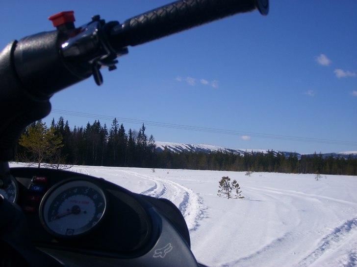 fräsch utsikt på gustavbacken med mera i lindva. Foto: H.