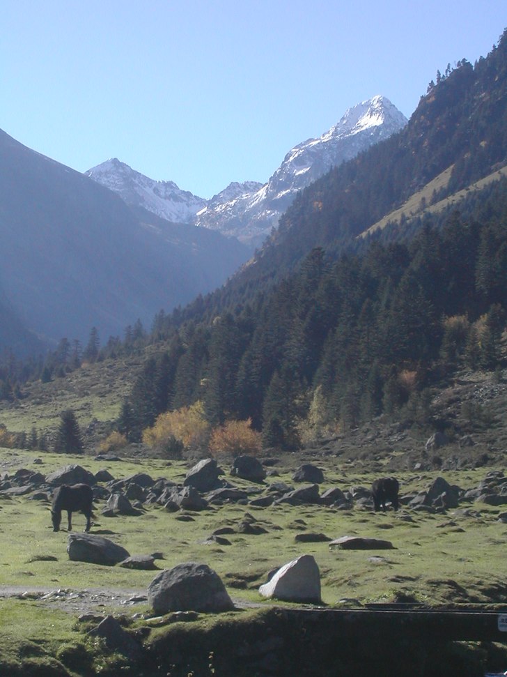 Påväg mot Lac d'estom i ett sagolikt landsk. Foto: Ville Berg - Malmborg.