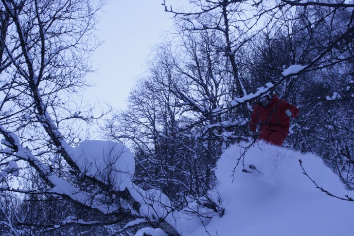 poww. Foto: Alexander. Åkare: Jak.