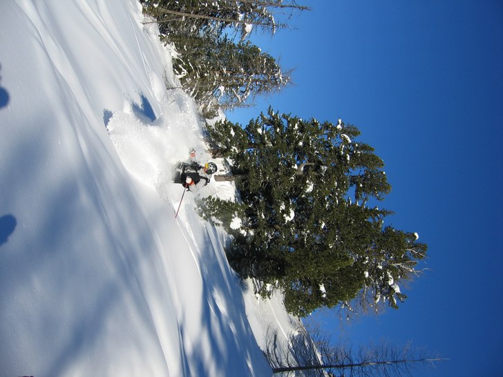 Solig dag i puderskogen i Sportgastein. Foto: Christoffer Schack. Åkare: Simon Petersson.