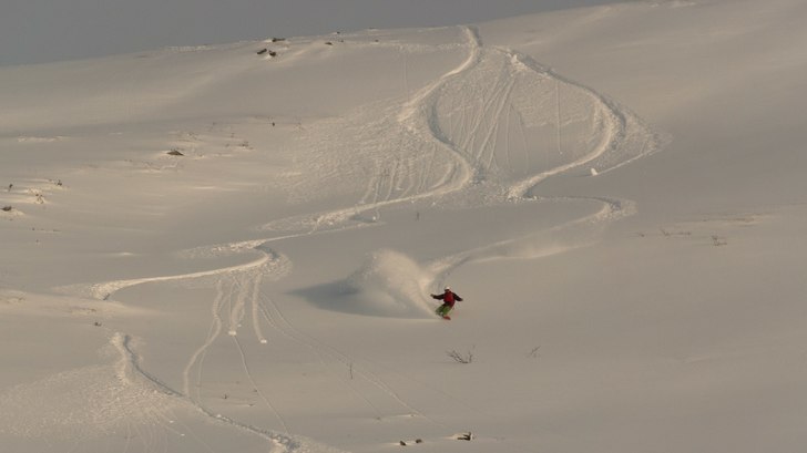 Champagnepuderhelg i Hemsedal 2014-01-18--

Topp. Foto: Joel Bengs. Åkare: Carina Bengs.