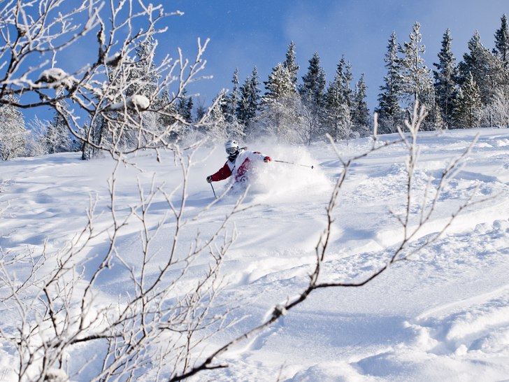 hittade en orörd spot med sjyst lutning en solig . Foto: Nicklas Lind. Åkare: Oskar Lind.