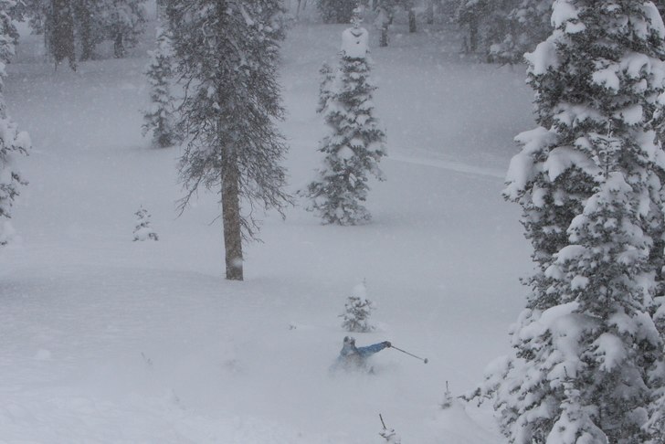 Snöat oavbrutet i flera dagar. Inte precis sugen . Foto: Niclas Schönfelder. Åkare: Molle Molin.