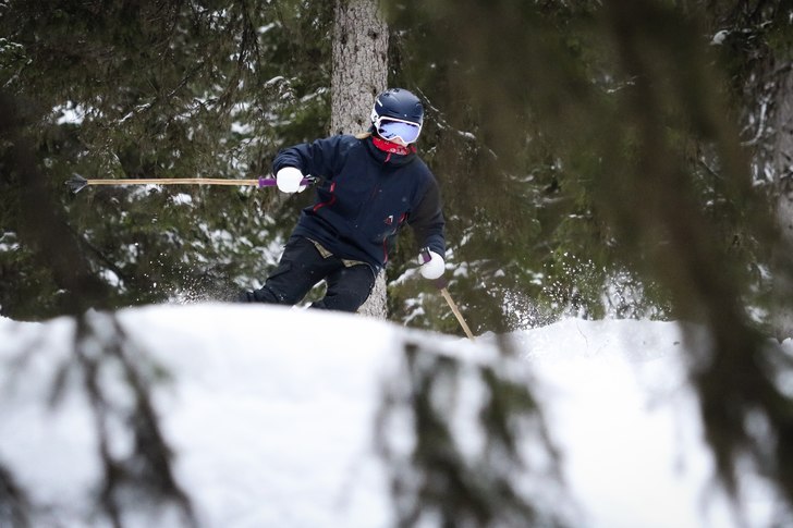 Granskogen är gallrad i Rågångsrännan, så det. Foto: Petter Elfsberg.