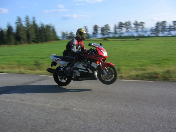Ja, då ferma'. Foto: Jon Reinklou. Åkare: Niklas Sandell.