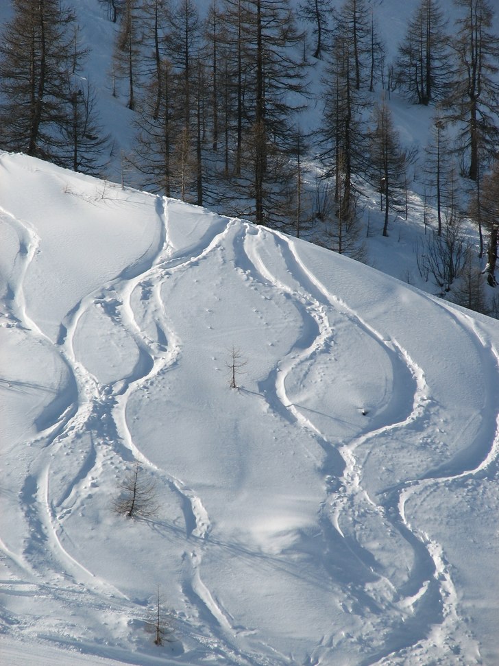 Puder hets i Cham!. Foto: Anders Ekberg.