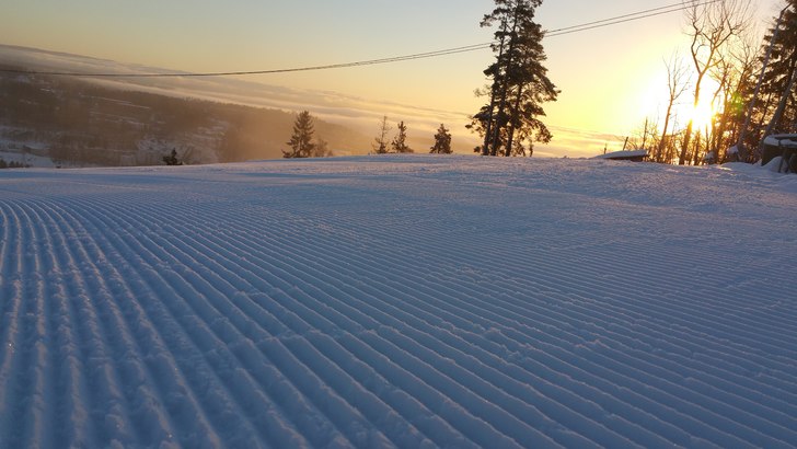 Sol og flott føre
Bare å ta seg en tur ut i vint.