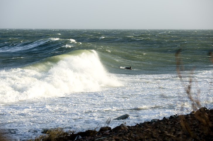 Foto: Jesper Molin. Åkare: Jakob Andersson.