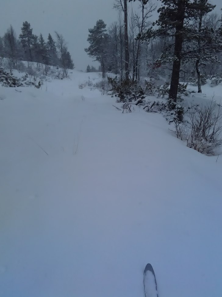 Det snør forsatt! :)
Det er ganske fint fører fo.