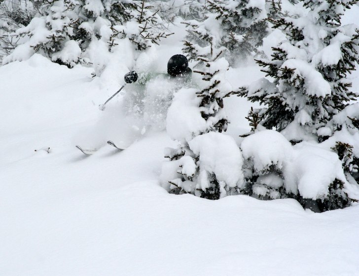 Underbara dagar bland granar i verbier. Viktor lad. Foto: Johan Larson. Åkare: Viktor Häggander.
