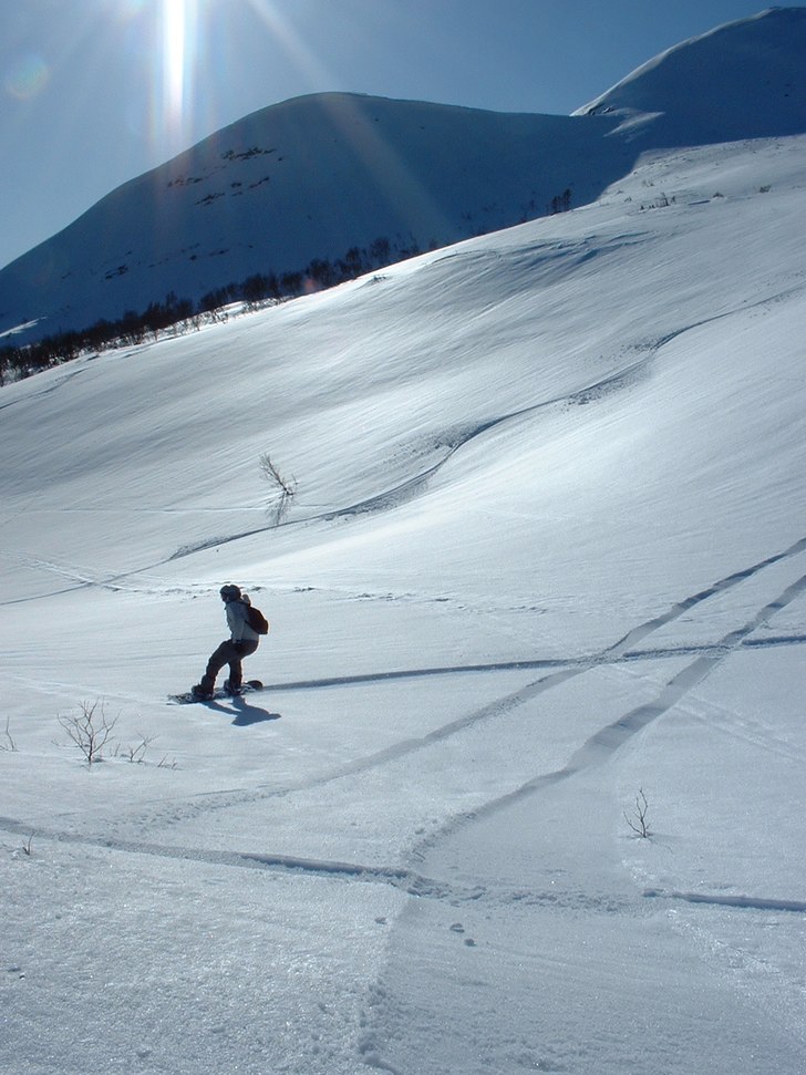 Foto: Rickard Ljunggren. Åkare: Jenny Fredén.