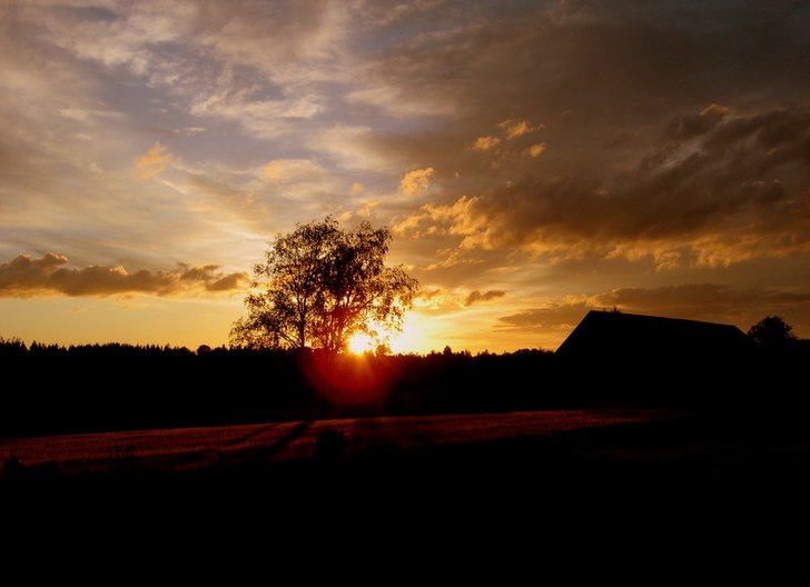 Tog en fin naturbild i Lunger.. Foto: Tommy Ljung.