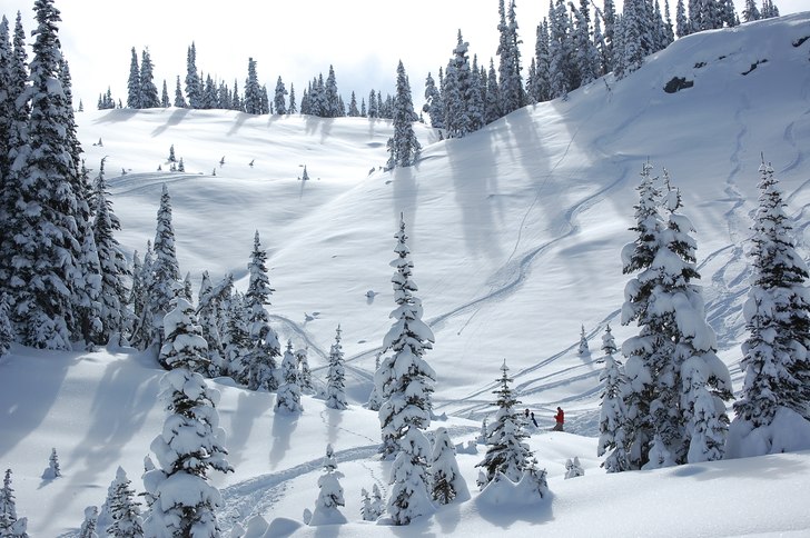 Foto: Jonas Andersson.