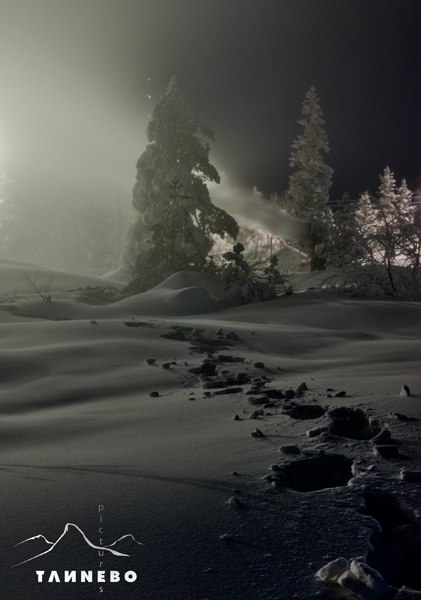 Snöläggning, december 2008. Foto: Peter Tannebo.
