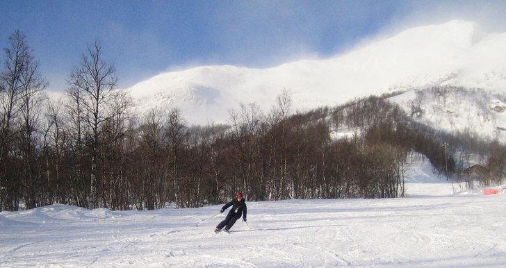 Foto: Otto. Åkare: Mamma.