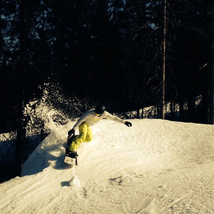 Foto: Nenne Eriksson. Åkare: Alfred Bolsöy.