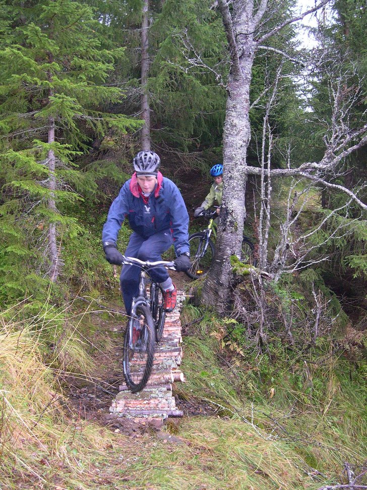 Foto: Tor-Edgar Ripman.