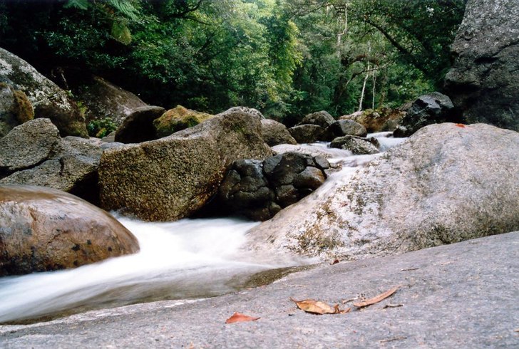 Foto: Jonas Backström.