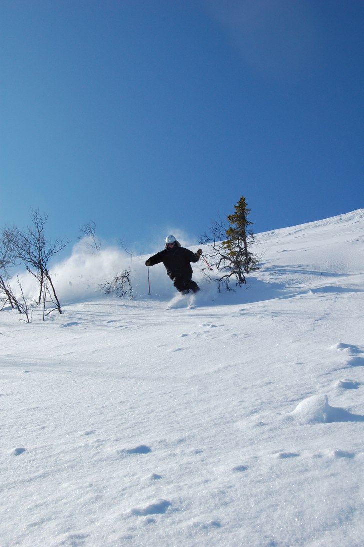 Foto: Martin Kiland. Åkare: Henrik Saldner.