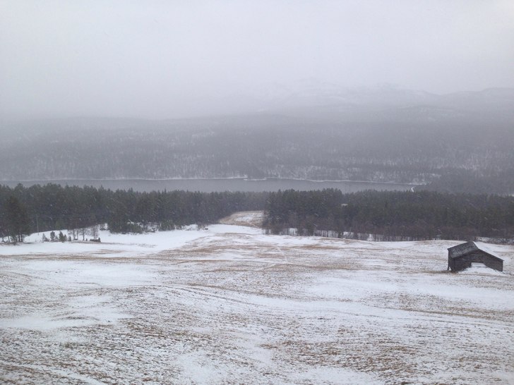 Snø i lufta!
Endelig litt snø i lufta! 
Men.....