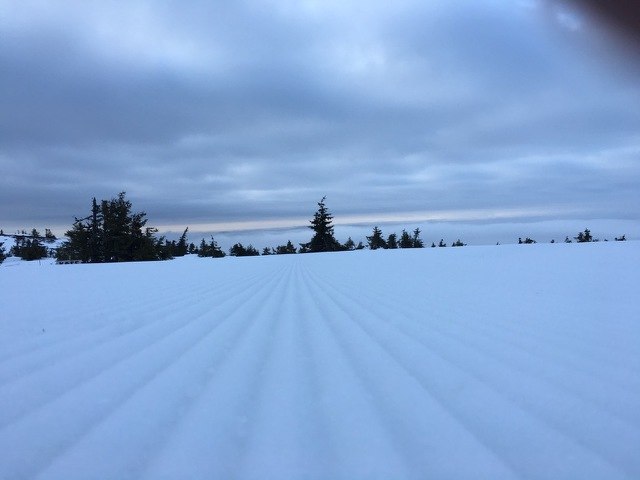 Klarvær over tåka
Det gjelder å komme seg opp i.