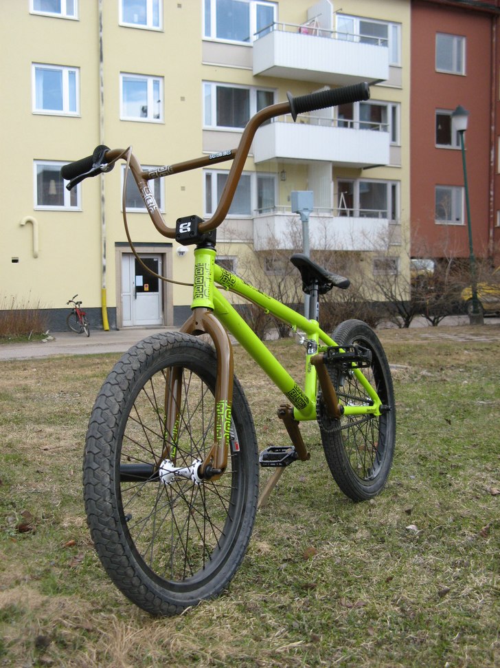 Eastern shovelhead -08. Foto: Viktor Olofsson.