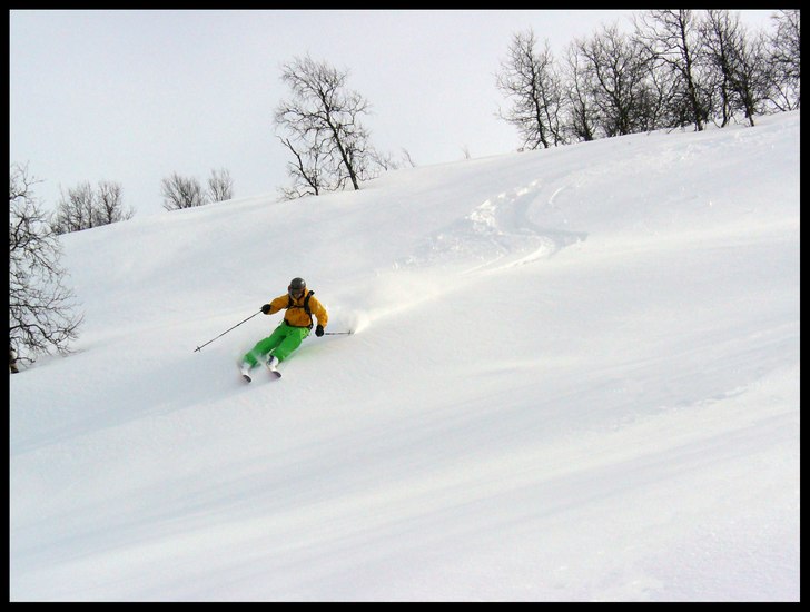 Foto: Anna Gustavsson. Åkare: Andreas Gustavsson.