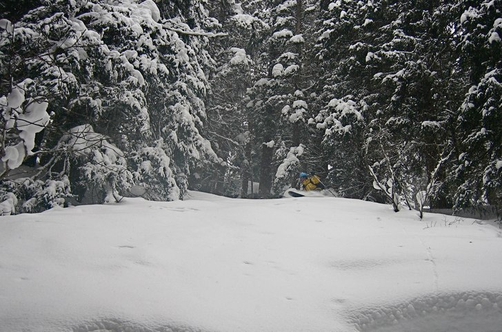 Foto: Erik Nyberg. Åkare: Gustav Holmer.