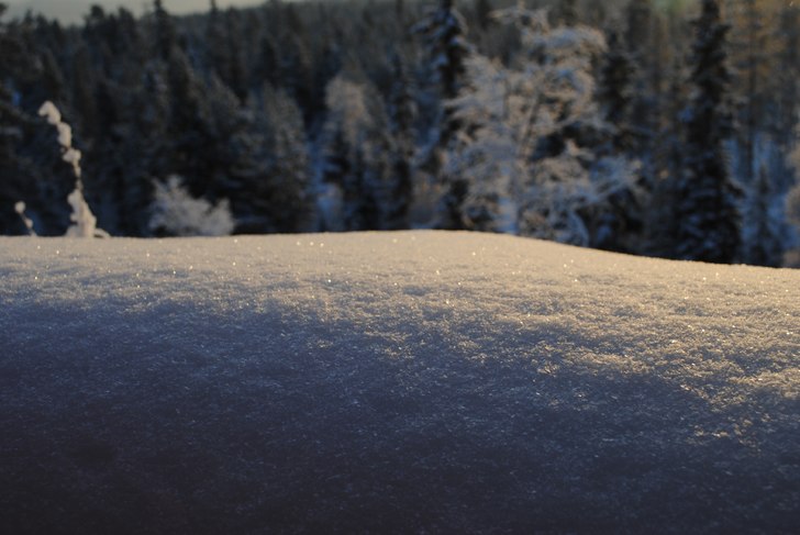 Foto: Linn Östlund.